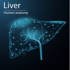 Human liver anatomy organ translucent low poly triangle futuristic glowing. On dark blue background. Liver system disease medical innovation concept. - obrazy, fototapety, plakaty