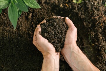 Hand holding soil on the field. Agriculture concept.
