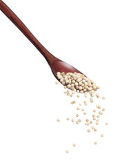 White Pepper seeds fall down pour in wooden spoon, white Pepper float explode, abstract cloud fly. Peppercorn splash throwing in Air. White background Isolated high speed shutter, freeze motion