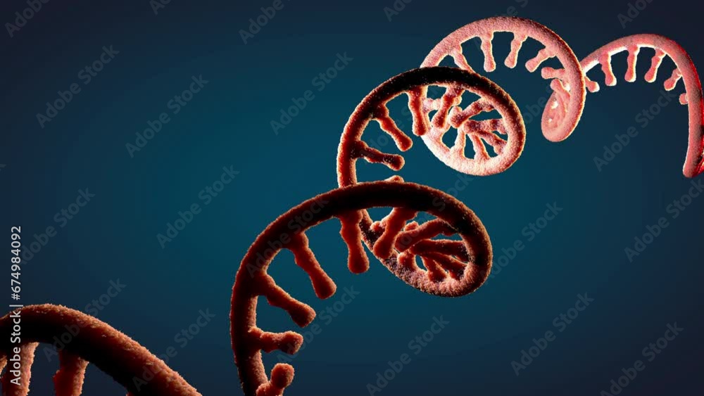 Wall mural Single-stranded molecule of RNA called messenger ribonucleic acid - 3d illustration