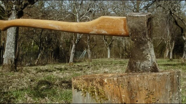 Old axe on a log in the forest