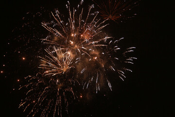 fireworks in the night sky