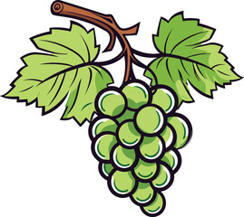 Vibrant cluster of green grapes with lush green leaves still attached to the vine