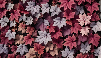 Mepal leaf in autumn Background
