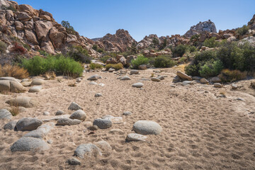 hiking the lost horse mine loop trail in joshua tree national park, california, usa