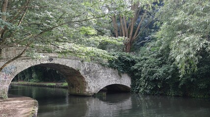 Scenic view of a stone bridge arching over a river in a tranquil, lush forest