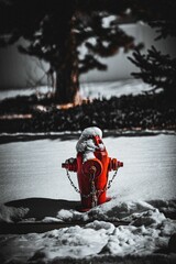 Obraz premium an old fashioned fire hydrant sitting in the snow near trees