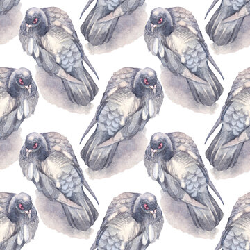 Seamless pattern watercolor gray bird dove isolated on white background. Hand-drawn pigeon for card or wrapping. Wild flying animal for sketchbook and wallpaper. Symbol peace for coloring book
