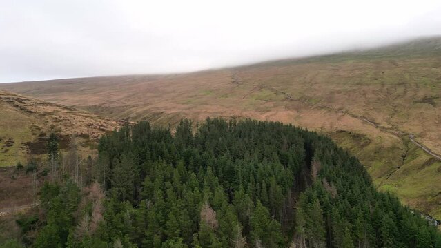 Aerial video of valley partly covered with fir trees in the forest