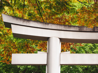 Detail of the top of a Torii gate of a Shinto shrine with autumn leaves around it.