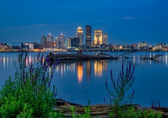 Fototapeta na wymiar Long exposure shot of Louisville, Kentucky and the Ohio River with a fallen tree during a blue hour.