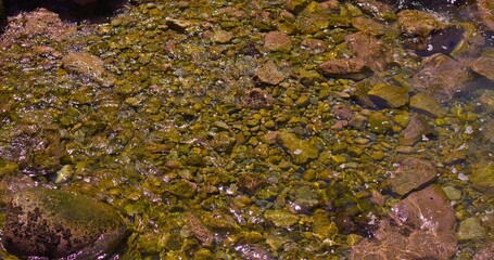 Weekend day trip to Lake Chapala in Jalisco