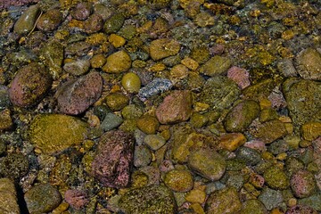 Weekend day trip to Lake Chapala in Jalisco