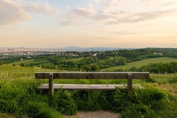 Wooden bench overlooking a grassy field with a picturesque view of Vienna in the distance