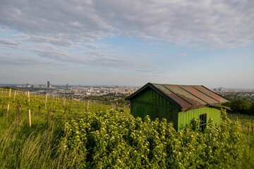 Quaint green cabin situated in a vineyard in Vienna, Austria