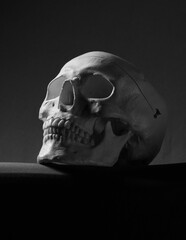 Grayscale shot of a human skull placed in a dark room