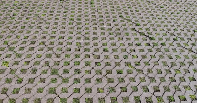 a tile with grass growing in it, a modern concrete tile that allows plants to grow