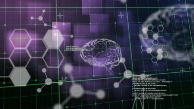 Animation of uman brains and scientific data processing over grid