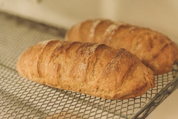 Pair of freshly baked artisanal bread loaves on a wire rack