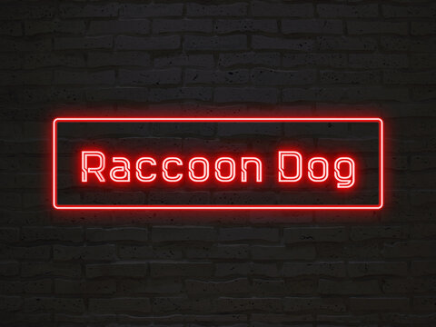 Raccoon Dog のネオン文字