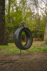 an old tire hanging from a tree in the woods, on a rope