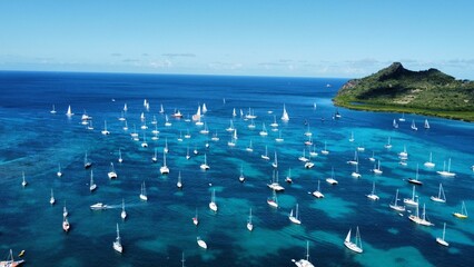 View of multiple sailboats gliding along the tranquil waters of the ocean in Tyrell bay, Carriacou