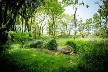 Scenic landscape featuring the 'Mud Maid' at the Lost Gardens of Heligan in Cornwall, UK