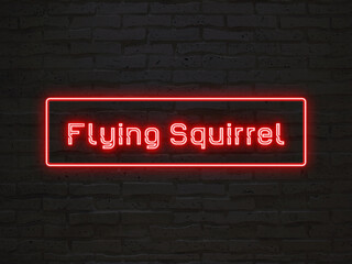 Flying Squirrel のネオン文字