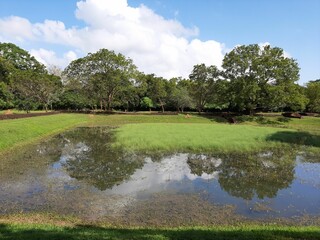 Scenic outdoor landscape featuring a lush grassy area with trees reflected in water