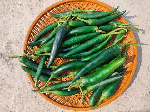 Green chilli, chillies, chili, spicy food kashmiri mirch