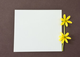 abstract empty template for an invitation, letter, note or greeting card, natural flower next to the paper note, minimalistic design