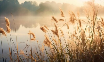 AI generated illustration of Serene landscape of a beach shoreline at sunset