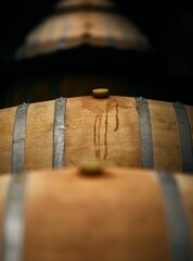Vertical shot of a room filled with stacked wine barrels - obrazy, fototapety, plakaty