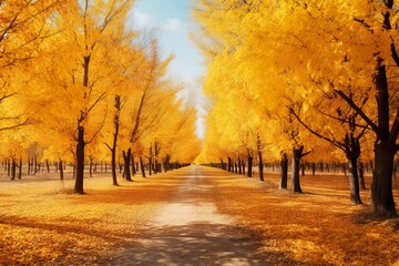 Beautiful bright colorful autumn landscape with a carpet of yellow leaves. Natural park with autumn trees