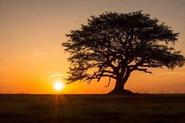 AI generated tree standing silhouetted against a vibrant sunset sky