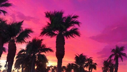 AI generated illustration of tall palm trees silhouetted against a stunning pink sunset sky