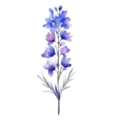 Watercolor Larkspur Bouquet Wild Flowers