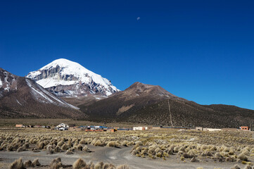 Sajama village surrounded by typical vegetation