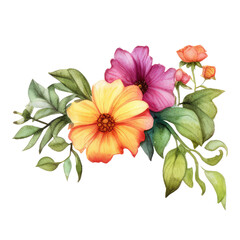 Flowers Watercolor Borders  isolated on transparent background