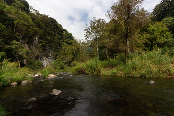 Small lake with streams in a natural landscape with waterfall in a forest. Climate change. 
