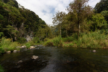 Obraz premium Small lake with streams in a natural landscape with waterfall in a forest. Climate change. 