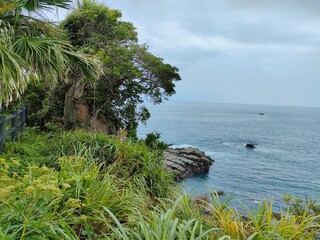 台風で荒れた九州の海