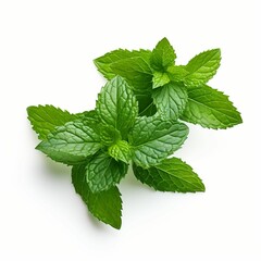 a bunch of fresh mint leaves lay on a white surface