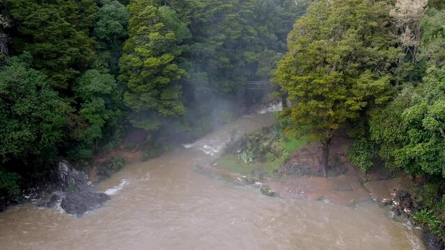 Scenic view of Otuihau Whangārei Falls during floods with misty spray over forest of trees in Northland, New Zealand Aotearoa