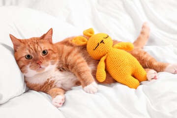 Cute ginger cat with crocheted bunny resting on bed