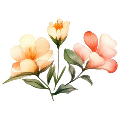 watercolor wildflower flower border isolated on transparent background