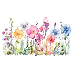 watercolor flowers wildflower border isolated on transparent background