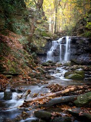 Vertical of a waterfall cascading down the rocks in a forest in autumn