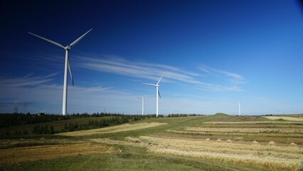 Scenic view of wind turbines in a green field