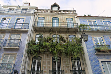 Balcony with vegetation in a street in Lapa, Lisbon, Portugal, Europe 